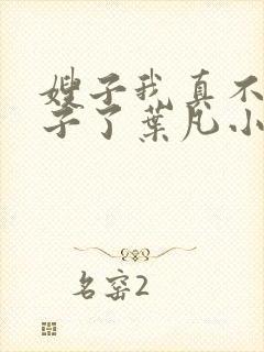 嫂子我真不是傻子了叶凡小说在线免费看