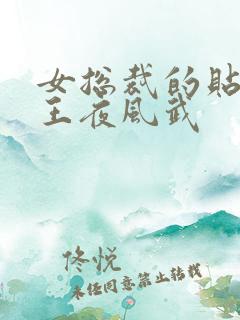 女总裁的贴身兵王夜风武