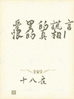 爱里的谎言,仇恨的真相1