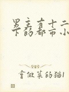 男主有十二个手下的都市小说