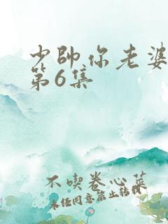 少帅你老婆又跑第6集