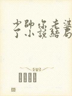 少帅你老婆又跑了小说结局