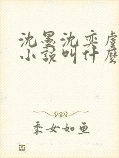 沈墨沈奕虞念念小说叫什么名字