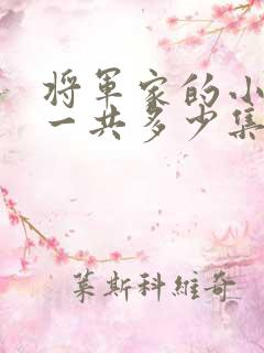 将军家的小娘子一共多少集