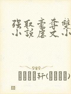 强取豪夺双男主小说虐文小说推荐