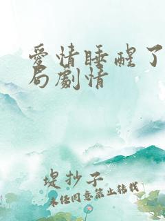 爱情睡醒了大结局剧情