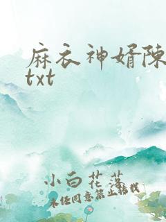 麻衣神婿陈黄皮txt
