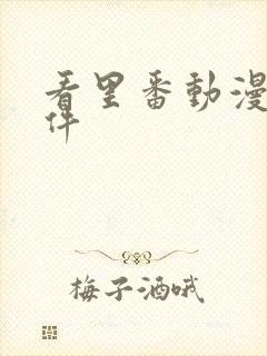 看里番动漫的软件