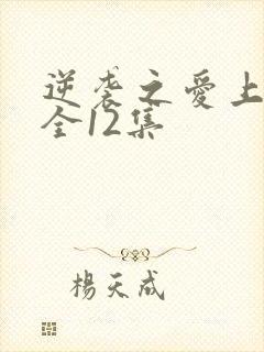 逆袭之爱上情敌全12集