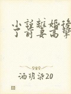 小说离婚后我成了前妻高攀不起的神