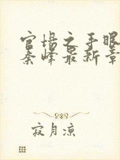 官场之手眼通天秦峰最新章节在线阅读