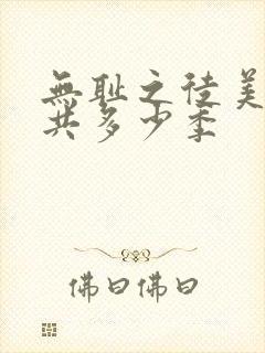 无耻之徒美版一共多少季