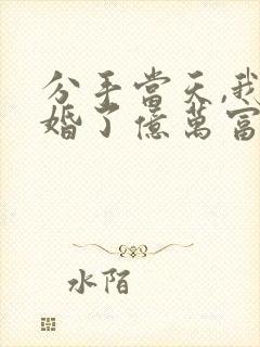 分手当天,我闪婚了亿万富豪