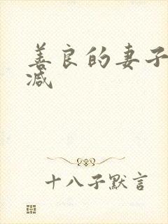 善良的妻子未删减