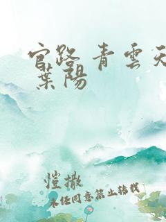 官路 青云天骄 叶阳