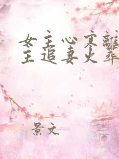 女主心寒离开男主追妻火葬场