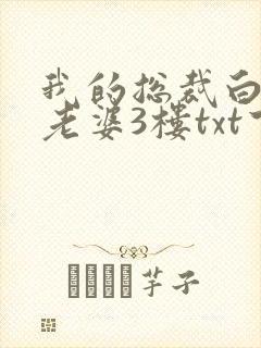 我的总裁白富美老婆3楼txt下载全本下载