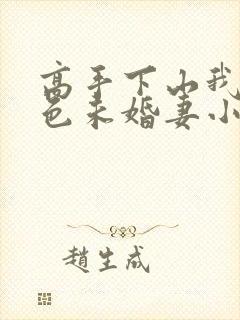 高手下山我的绝色未婚妻小说