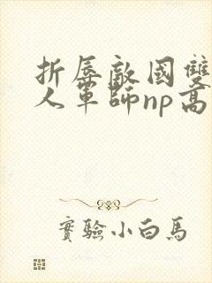 折辱敌国双性美人军师np高h