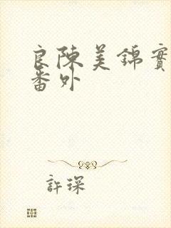 良陈美锦实体书番外