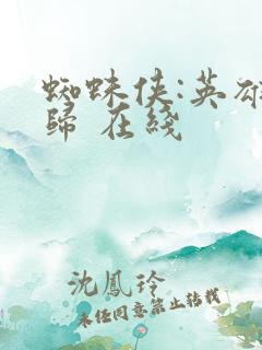 蜘蛛侠:英雄无归 在线