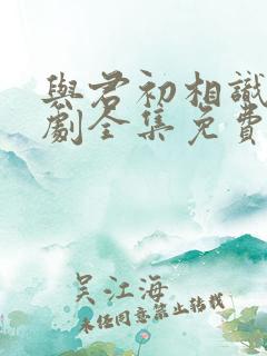 与君初相识电视剧全集免费西瓜