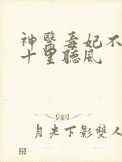 神医毒妃不好惹十里听风