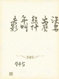 去年熊出没大电影叫什么名字