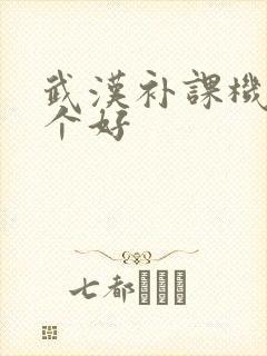 武汉补课机构哪个好