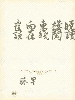 崔向东楼晓雅小说在线阅读官路扶摇