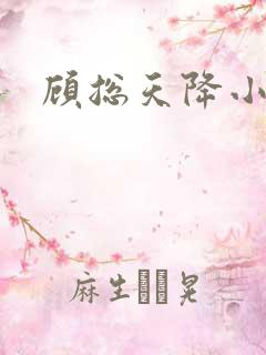 顾总天降小萌妻