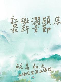 许微澜顾辰小说最新章节