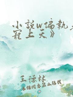 小说w偏执老公宠上天》