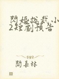 闪婚总裁小娇妻2短剧预告