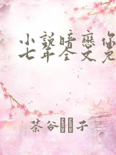 小说暗恋你的第七年全文免费阅读