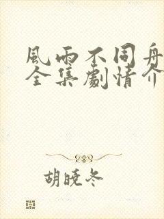 风雨不同舟短剧全集剧情介绍