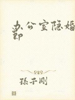 办公室隐婚无删节