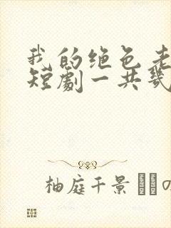 我的绝色老板娘短剧一共几集