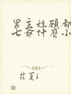 男主姓顾都叫他七爷什么小说