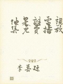 他是谁电视剧全集免费播放完整版