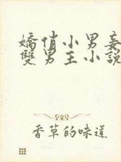 娇俏小男妾by双男主小说推荐