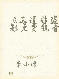 《正道非盗》电影免费观看高清