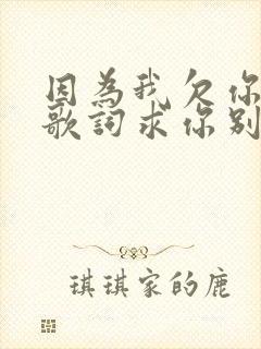 因为我欠你太多歌词求你别离开我