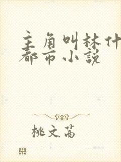 主角叫林什么的都市小说