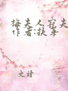 梅夫人宠夫日常作者:扶华