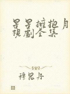 星星拥抱月亮电视剧全集