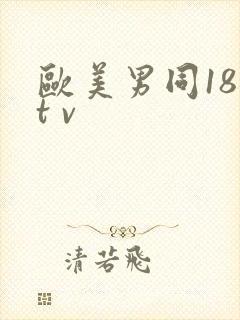 欧美男同18 t v