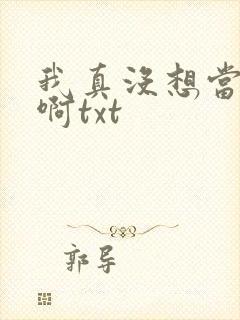 我真没想当皇帝啊txt