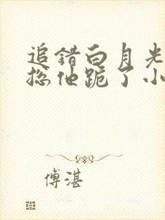 追错白月光的厉总他跪了小说