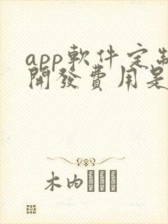 app软件定制开发费用是多少